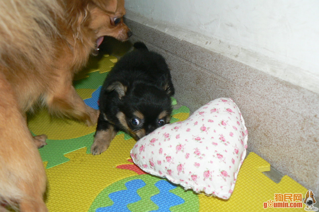 泛亚电竞官网|
2016中甲联赛预备队积分榜射手榜(图2) 泛亚电竞