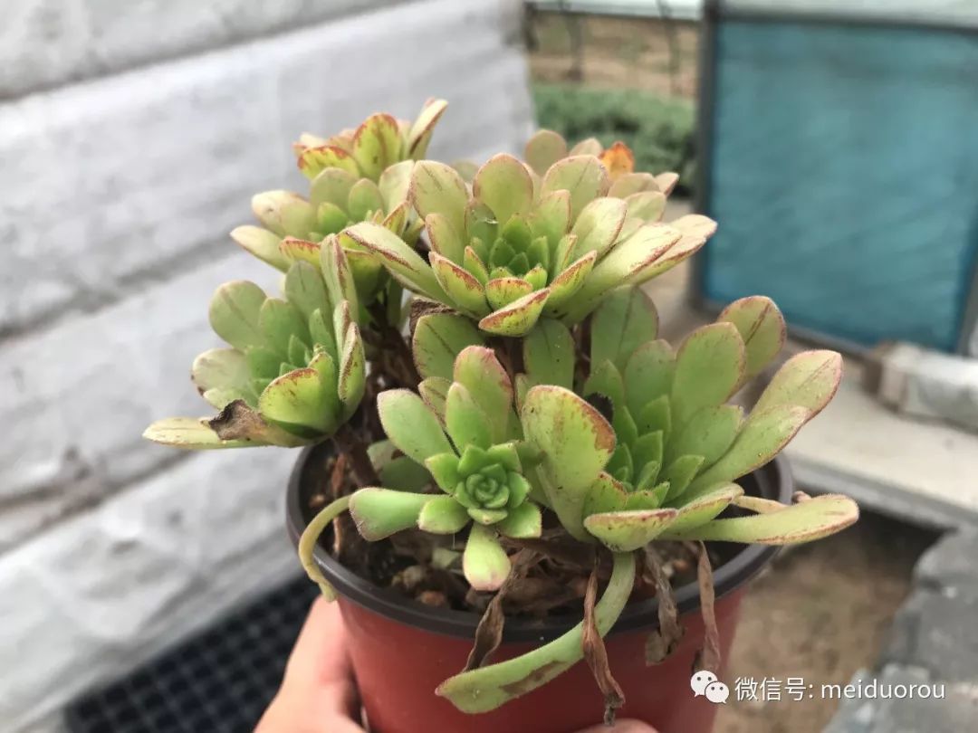 泛亚电竞官网-
河北高职单招哪个专业好就业(图1) 泛亚电竞