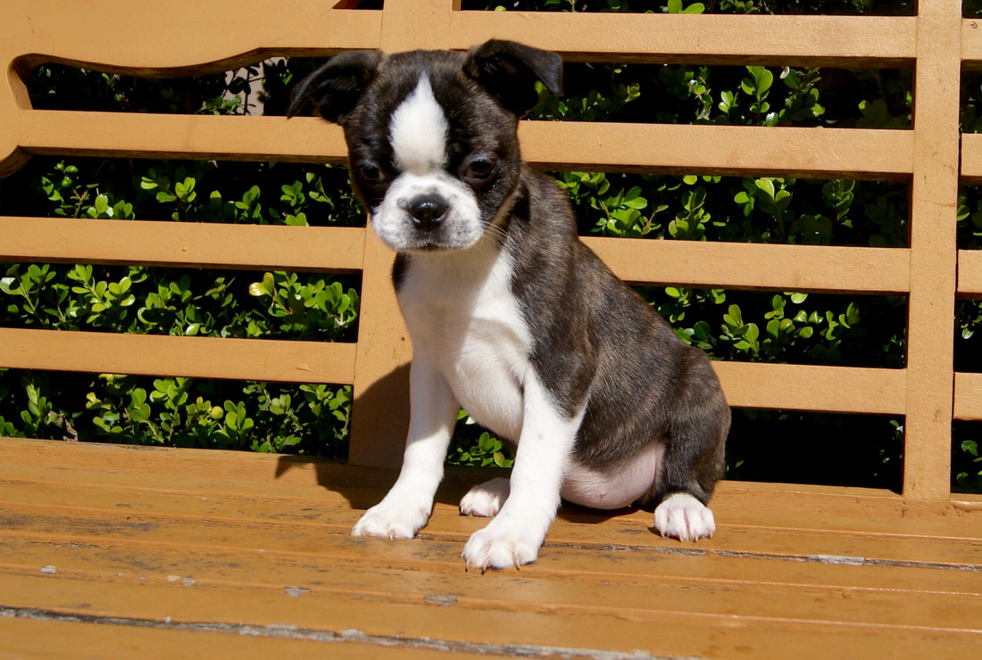 “泛亚电竞”国内首个物联网消防落地方案亮相2017MWC上海展(图1) 泛亚电竞