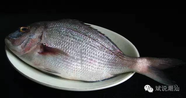 泛亚电竞平台:铺路“多规合一”:自然资源部职能、机构、编制“大扩容”(图1) 泛亚电竞平台