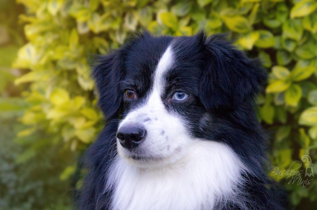 “泛亚电竞官网”
给李铁争气 武汉卓尔争议国脚造2球 打破魔咒水货外援或离队(图4) 泛亚电竞