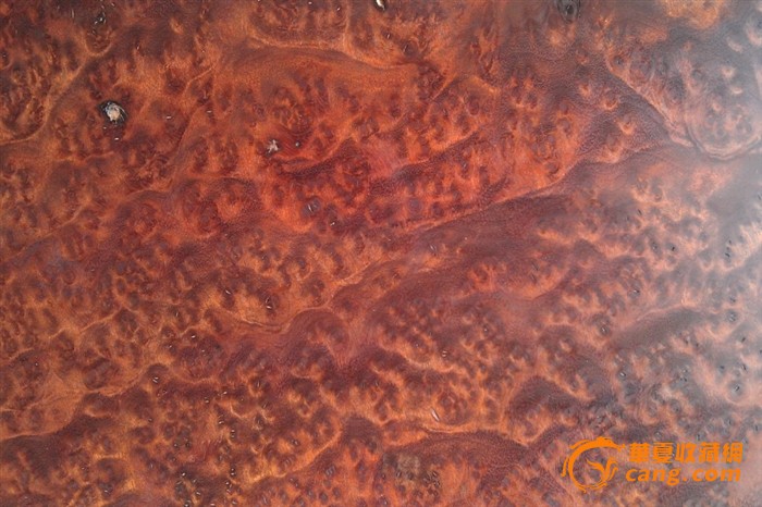 为了云服务,谷歌、微软、亚马逊投入重金打造跨洋海底光缆【泛亚电竞平台】(图2) 泛亚电竞官网