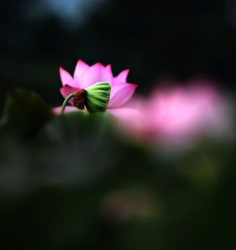 中央纪委国家监委驻生态环境部纪检监察组赴围场、隆化开展扶贫调研和督促指导【泛亚电竞】(图1) 泛亚电竞平台