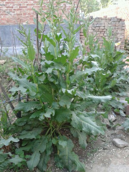 “泛亚电竞平台”100%不合格!安徽省抽查30家环境监测机构都存问题!(图4) 泛亚电竞官网