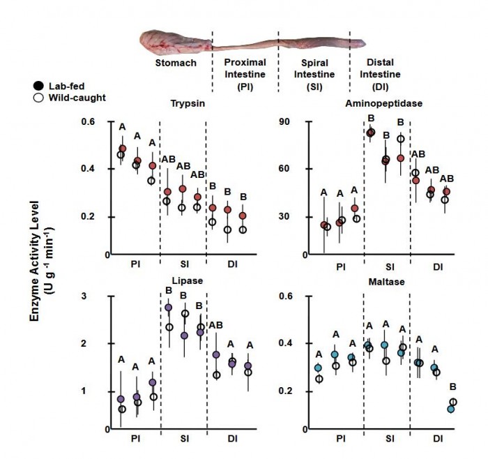【泛亚电竞官网】苹果是如何走出iPhone销量危机的?(图3) 泛亚电竞